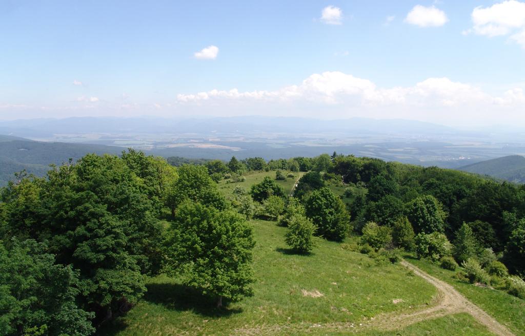 Beckov - Kulháň